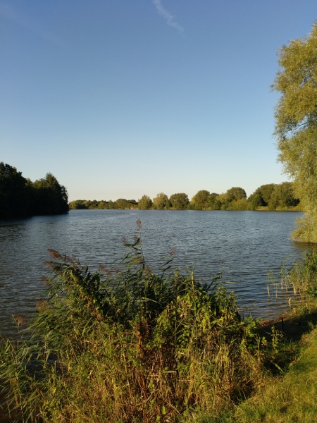 sillenstede-baggersee